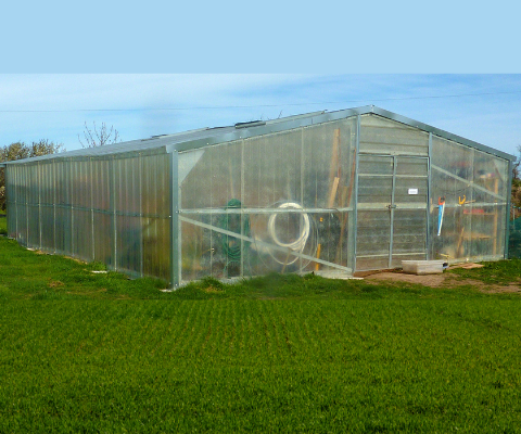 480x400_-_Polyhouse