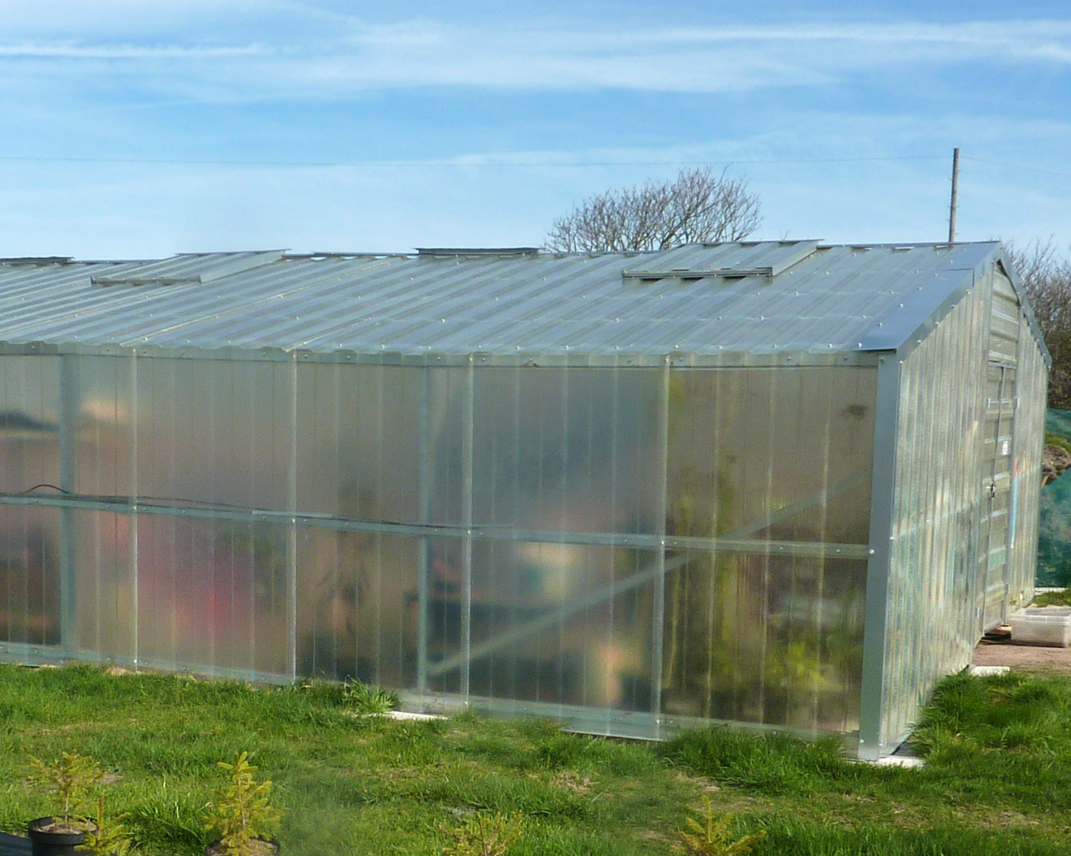 agricultural